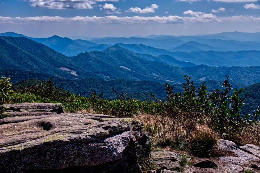 Fork Ridge viewed from Sam Knob, Pisgah National Forest