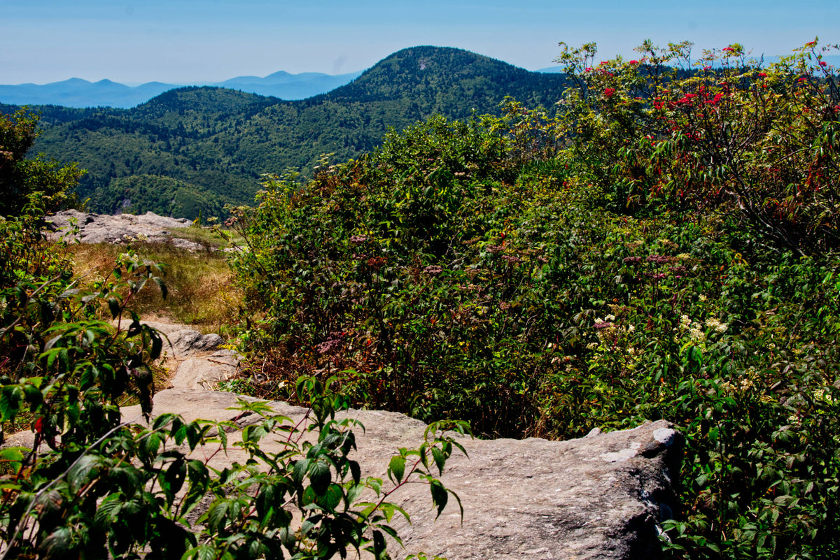 Summit of Sam Knob, Pisgah Nat'l Forest