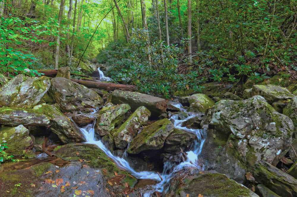 Shining Creek Trail at Daniels Cove