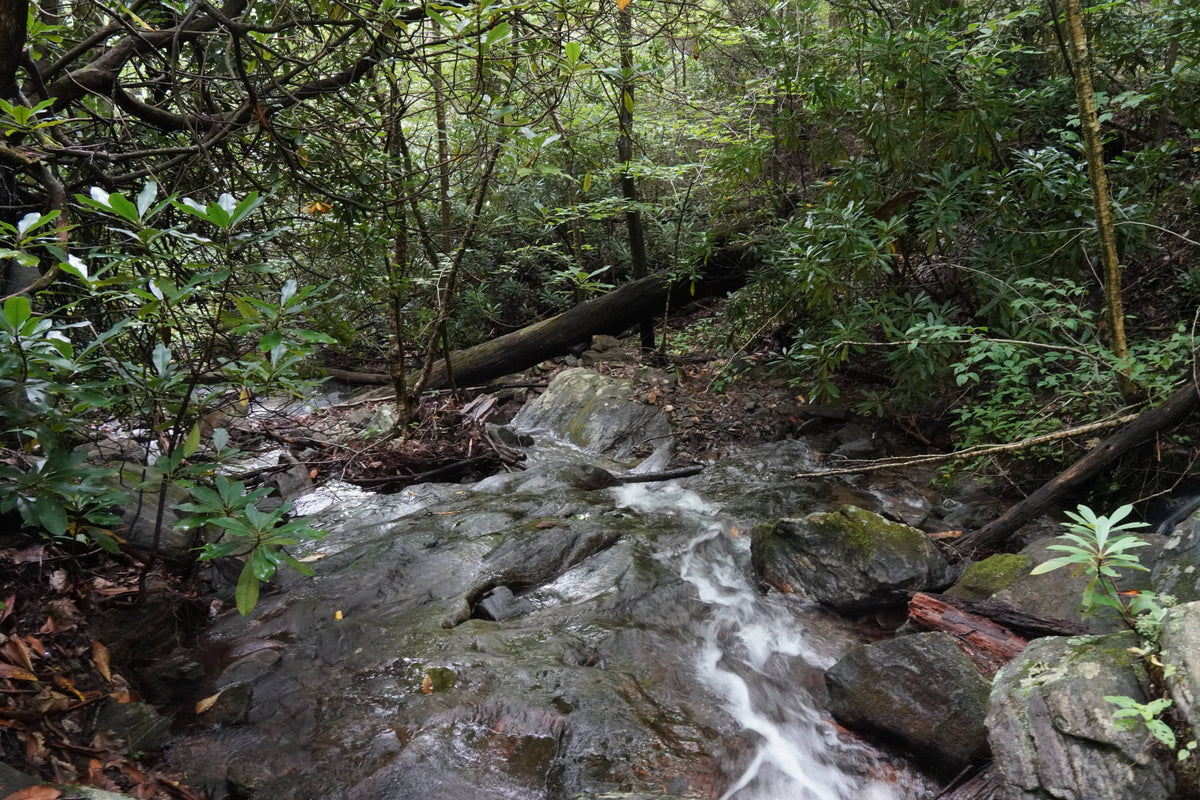 Bearwallow Branch on Buck Spring Trail Pisgah National Forest