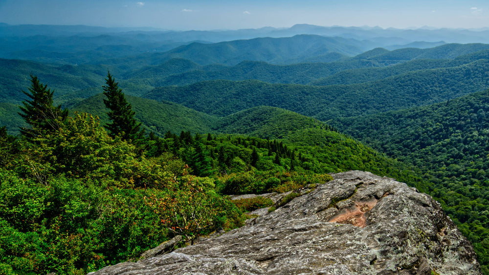 Looking South from Devil's Courthouse, Crest of Pisgah Ledge