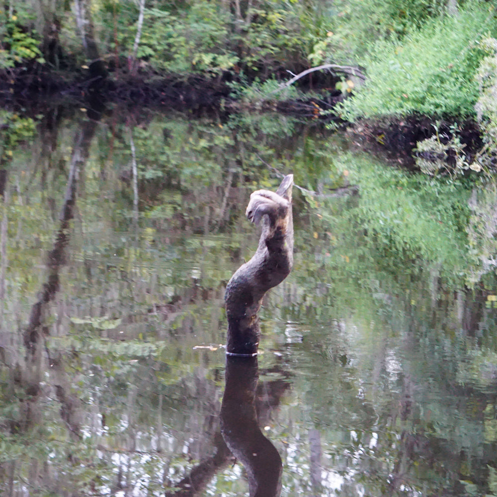 A Hand From The Deep in North Florida