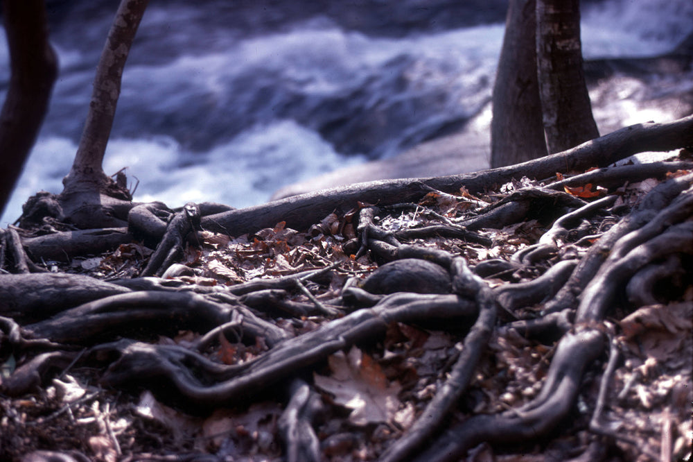 Sliding Rock in Pisgah National Forest (photograph 1968)