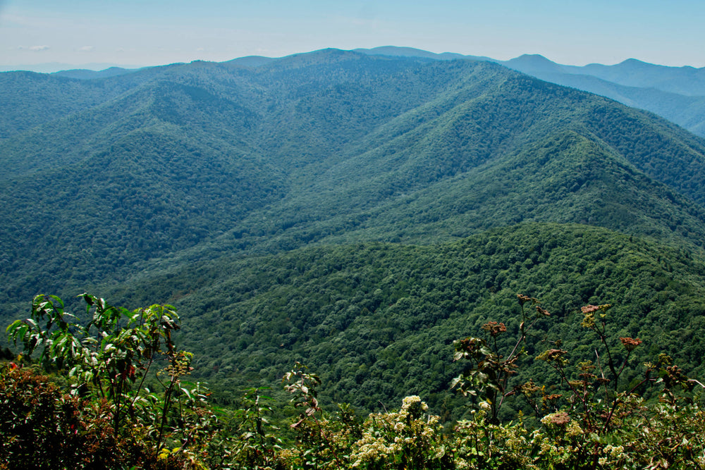 Shining Rock Ledge from Cold Mountain Summit