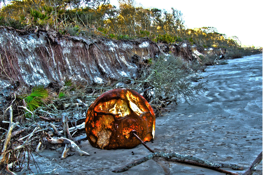 Mystery Orb at Big Talbot Island