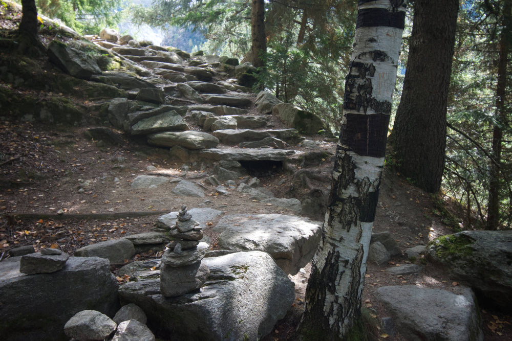 Trail to le Chapeau near Mont Blanc