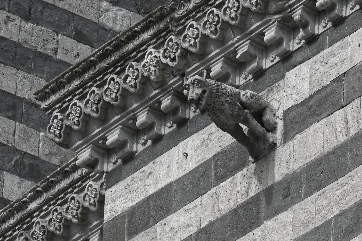 Wolf Gargoyle, Duomo di Orvieto