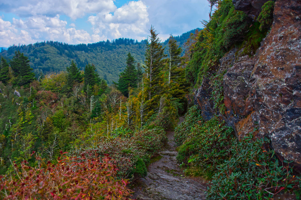 Appalachian Trail near Charlie's Bunion