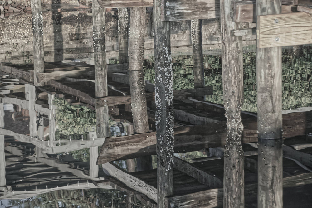 Reflected Pier