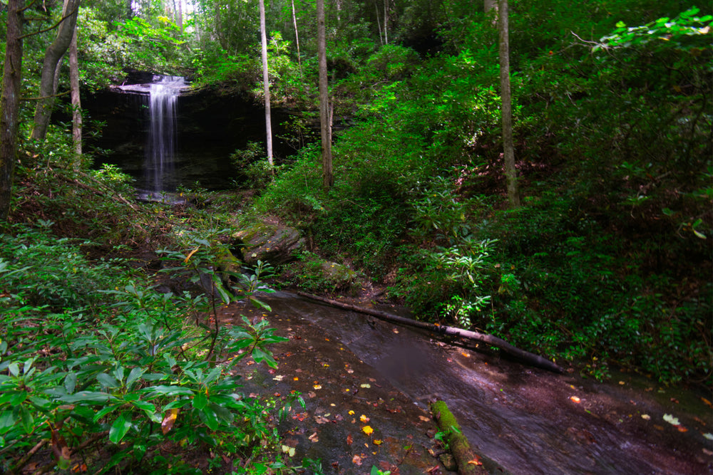 Little Moore Cove Falls