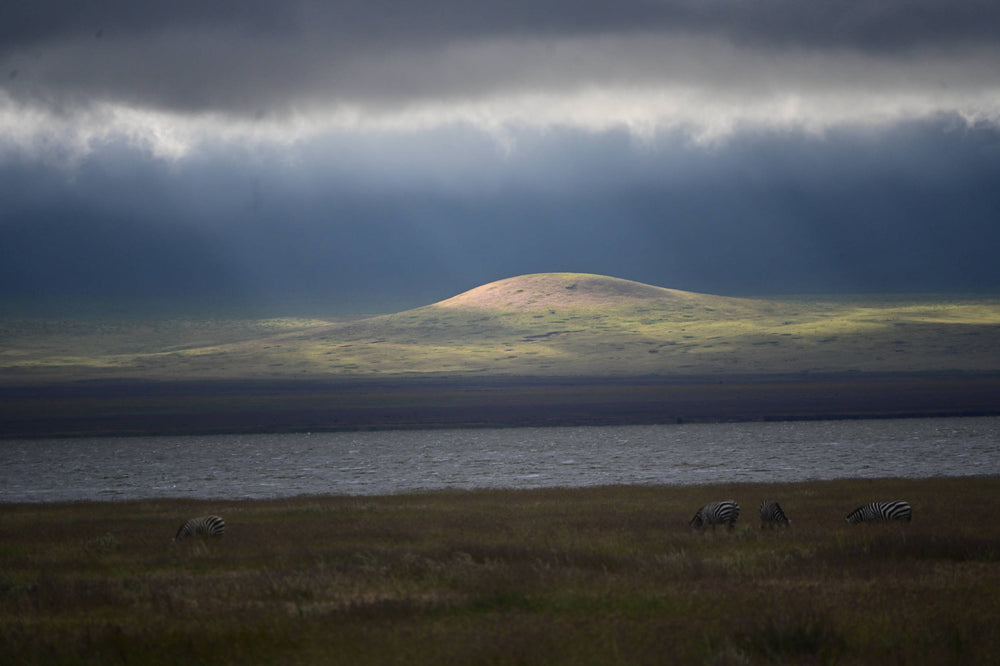 Serengeti Plain, Tanzania