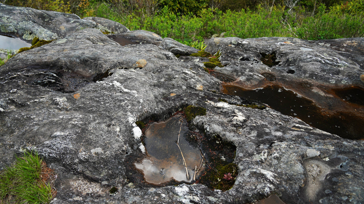 Rock Window