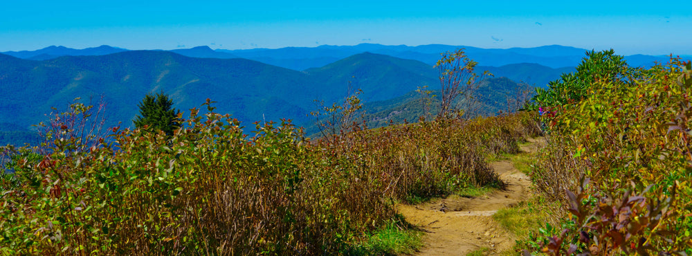 Looking West from Art Loeb Trail on Black Balsam Knob