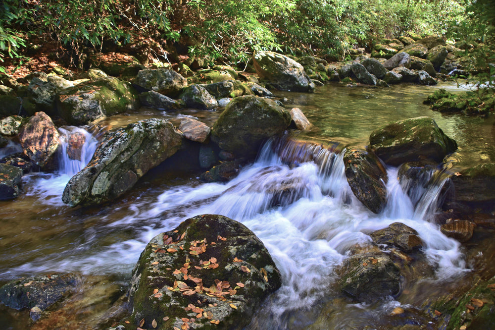 Yellowstone Prong in Pisgah National Forest