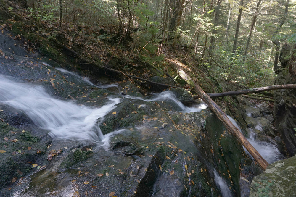 Buckeye Creek Cascade near Mt. Hardy