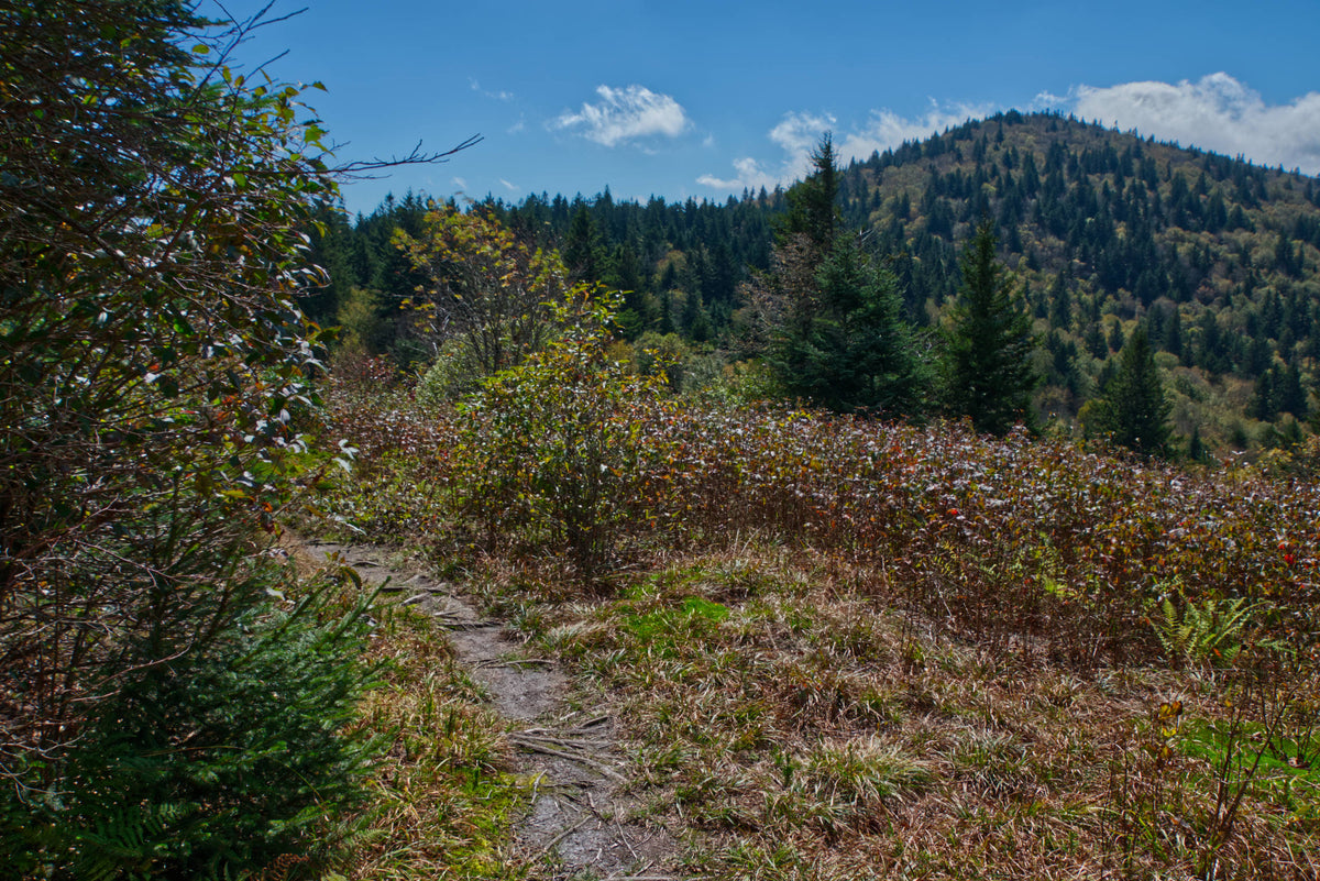 Mt. Hardy viewed from Green Knob Trail