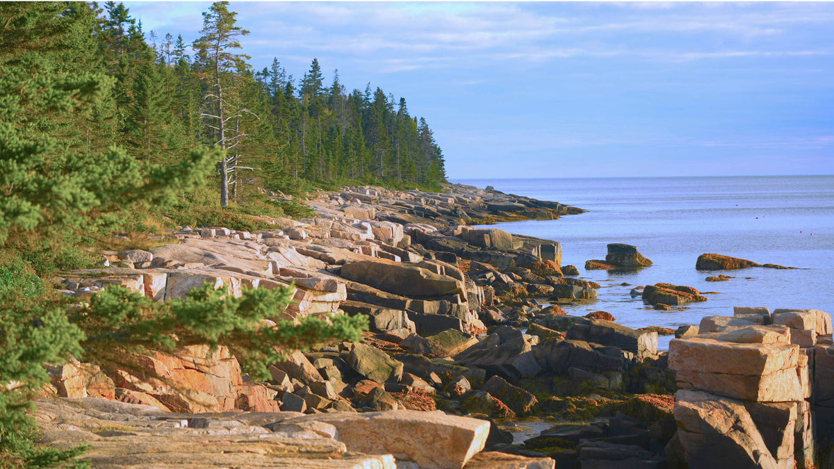 Coastline, Acadia National Park, Maine