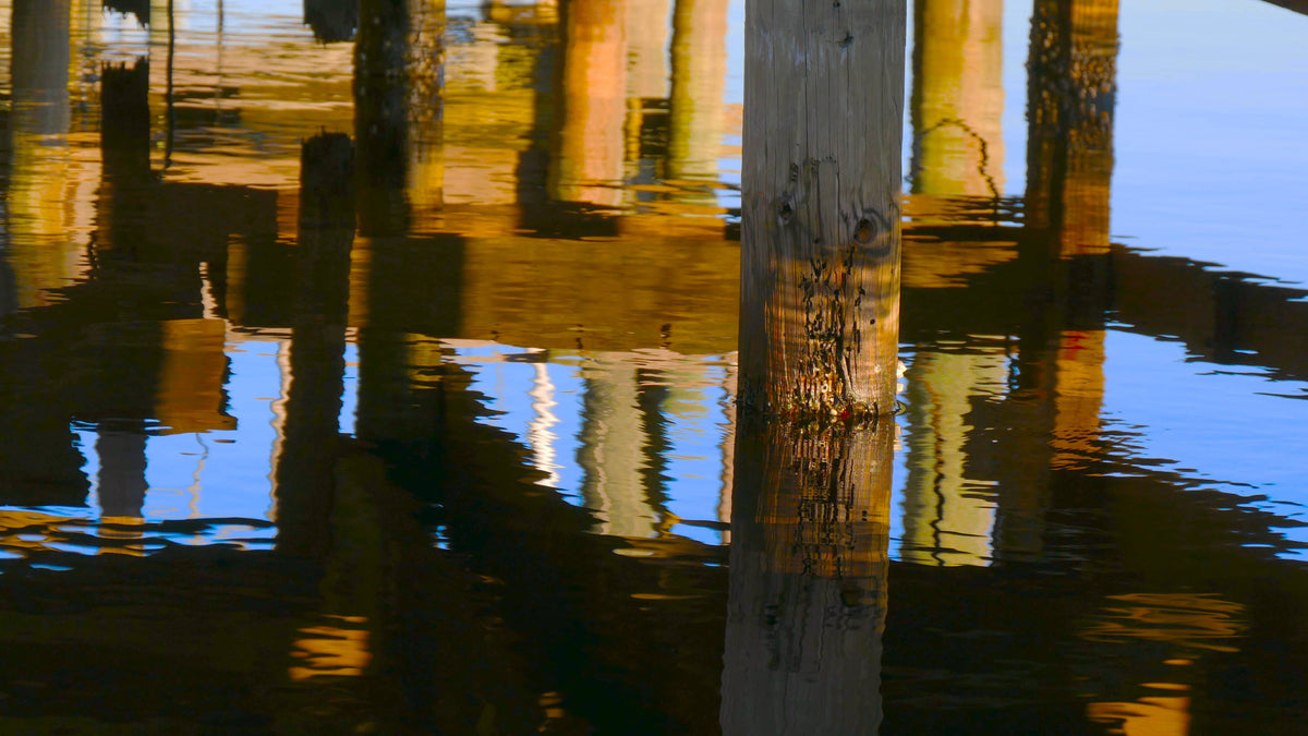 Reflections