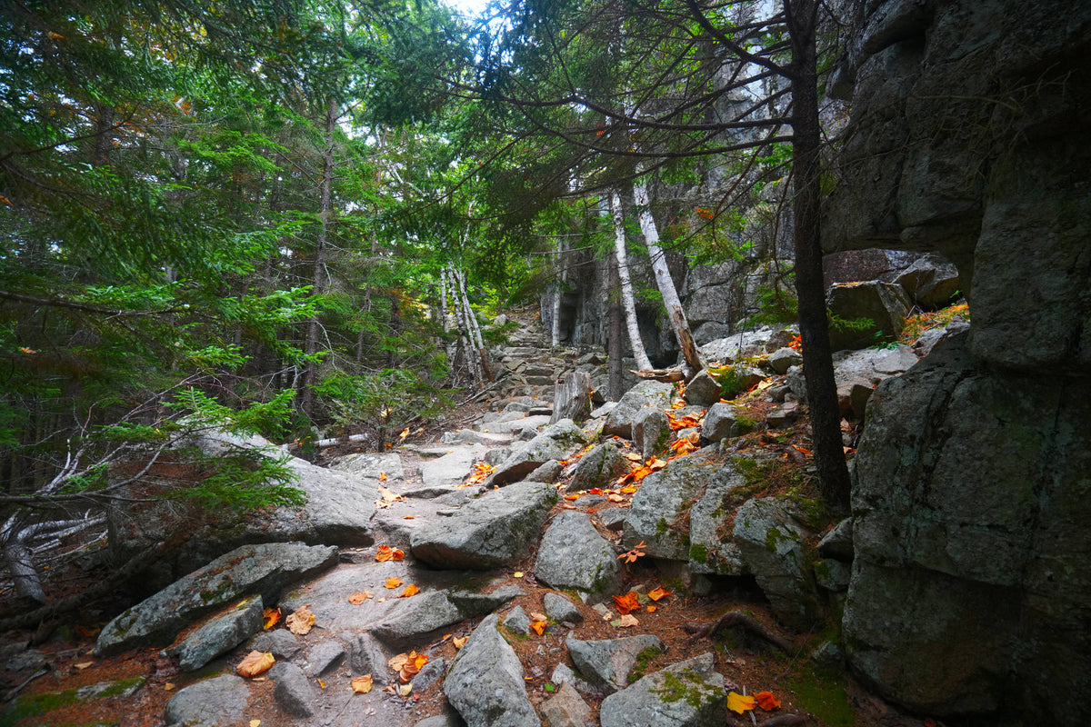 Acadia Gorham Mountain Trail