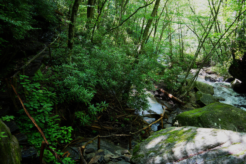 Carson Creek near Connestee Falls