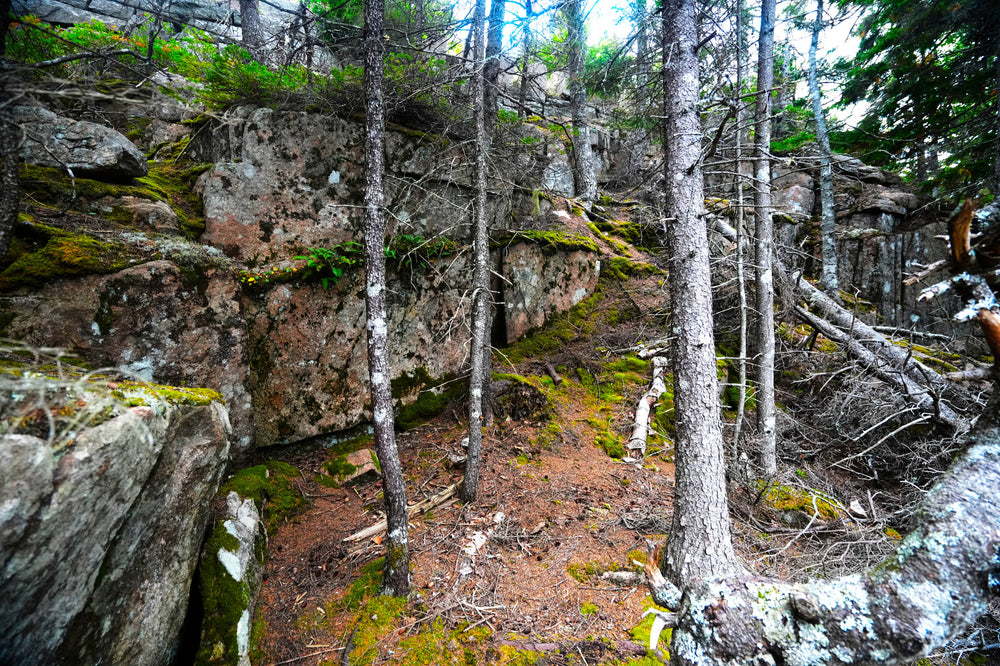 Cadillac Cliffs Acadia Natl Park