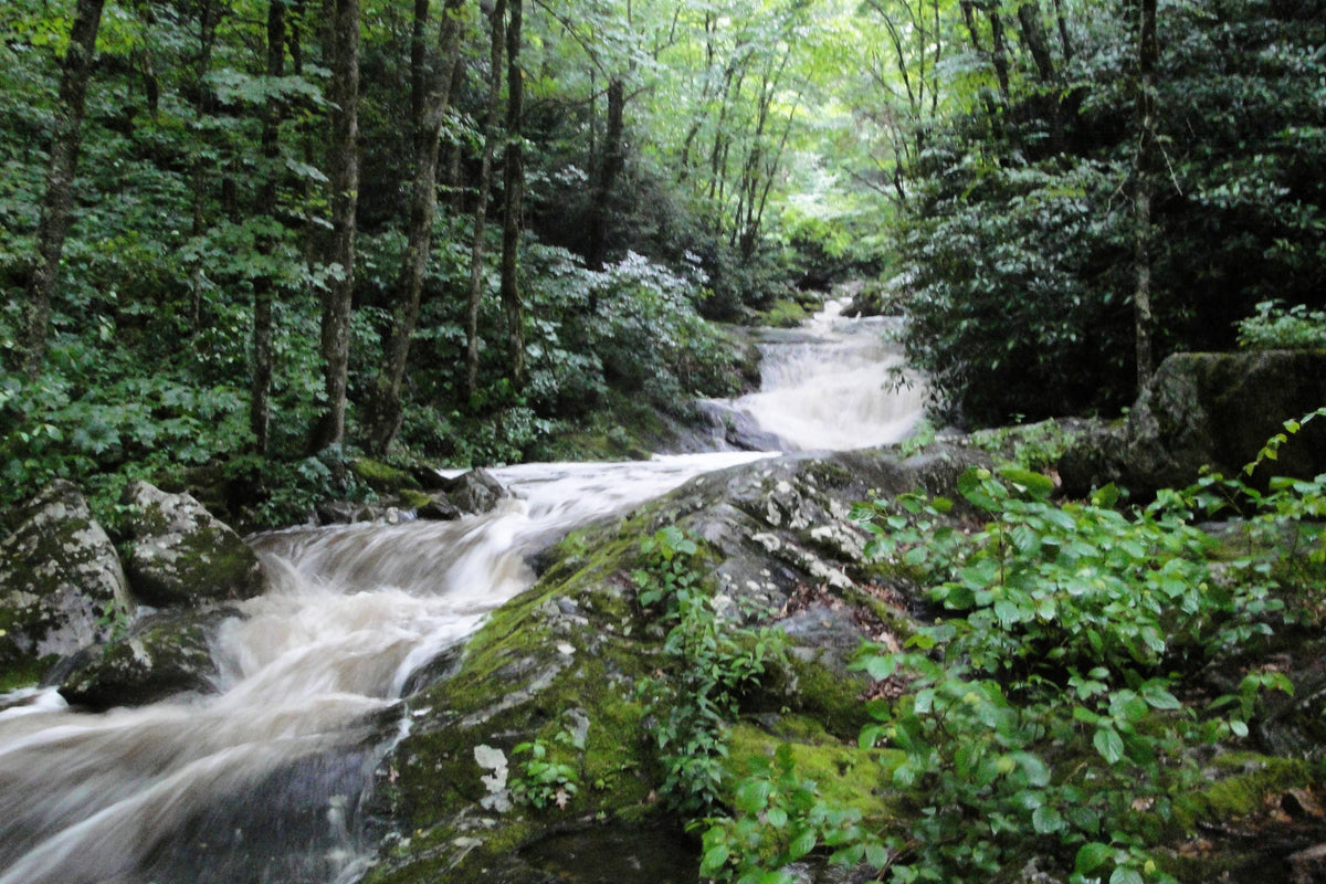 Shining Creek in Thunderstorm, Shining Rock Wilderness