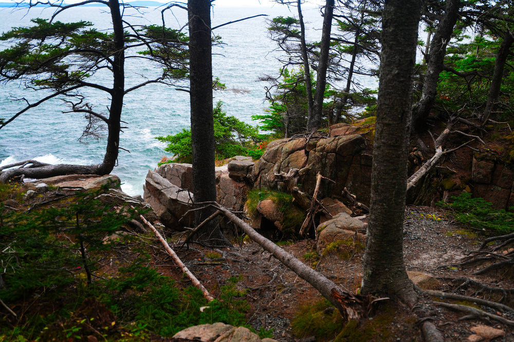 Cadillac Cliffs Trail in Arcadia National Park