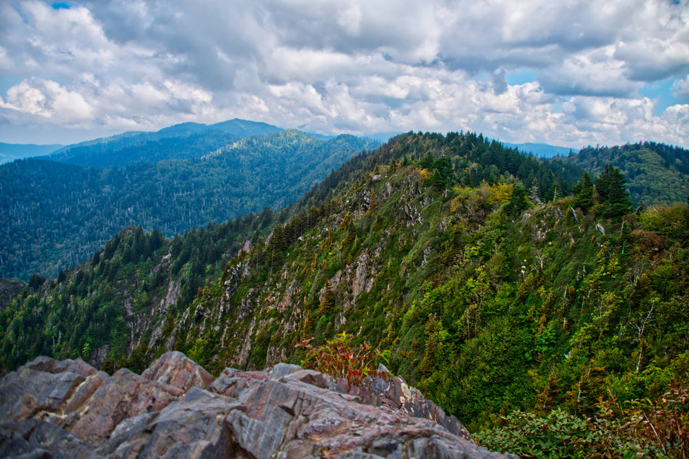 Mt.Guyot from Appalachian Tr. near Charlie's Bunion, Tennessee