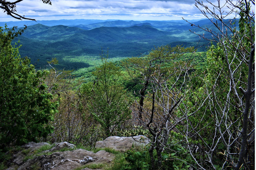 Black Mountain viewed from Little Bald, Pisgah National Forest