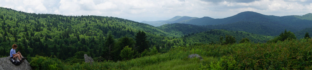 Panorama of Great Balsam Mountains from Fork Ridge Meadow