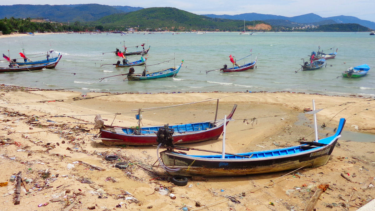 Fishing Fleet at Ko Samui, Thailand