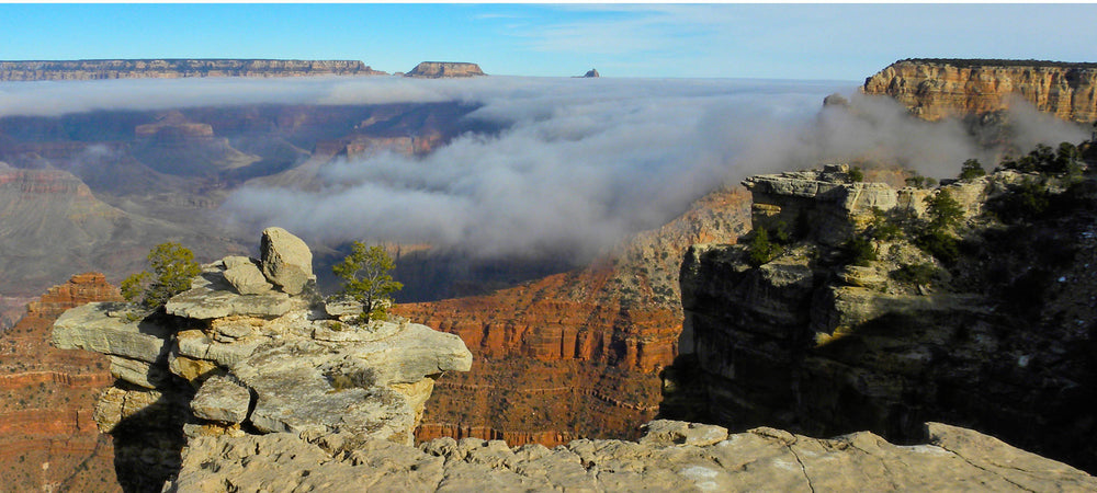 Once a Decade Fog in Grand Canyon National Park