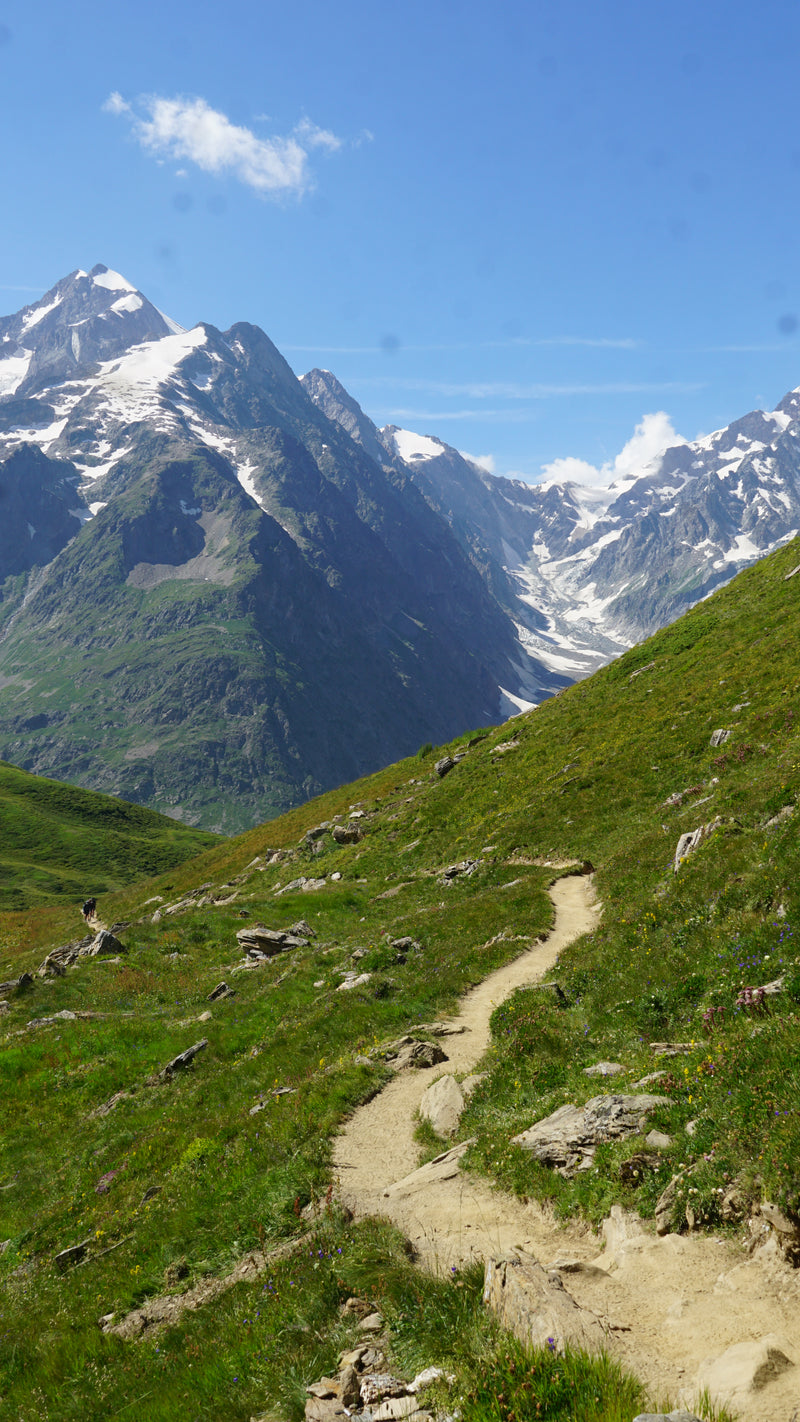 Trail to Col Ferret, Switzerland