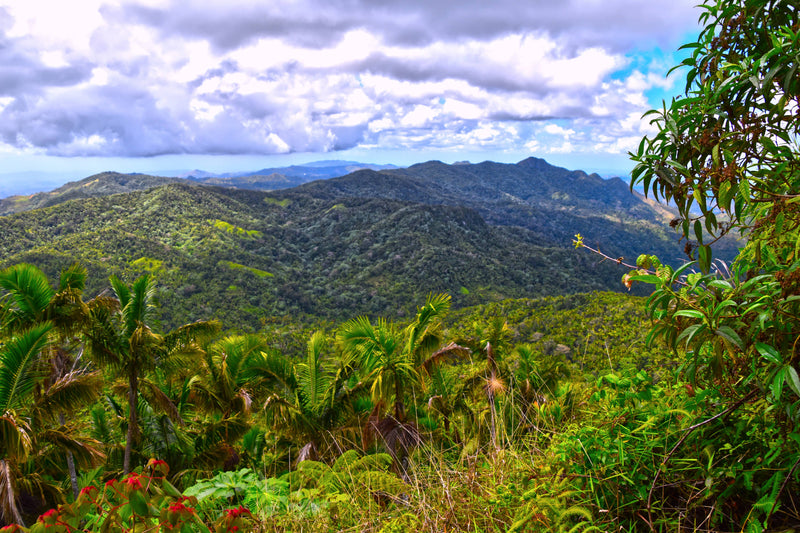 The Mountainous Landscape of Puerto Rico