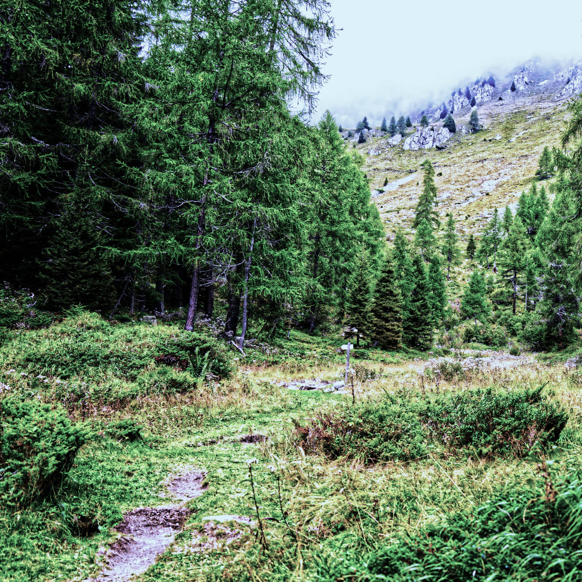 Trail to Lake Ritort near Madonna di Campiglio