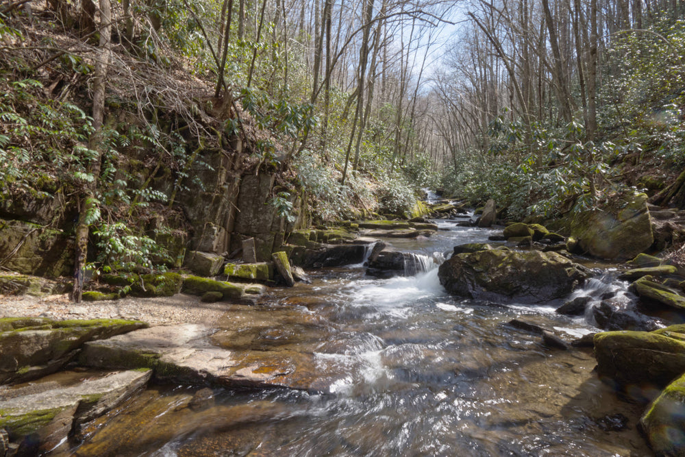 Right Fork of the Davidson River in Pisgah National Forest