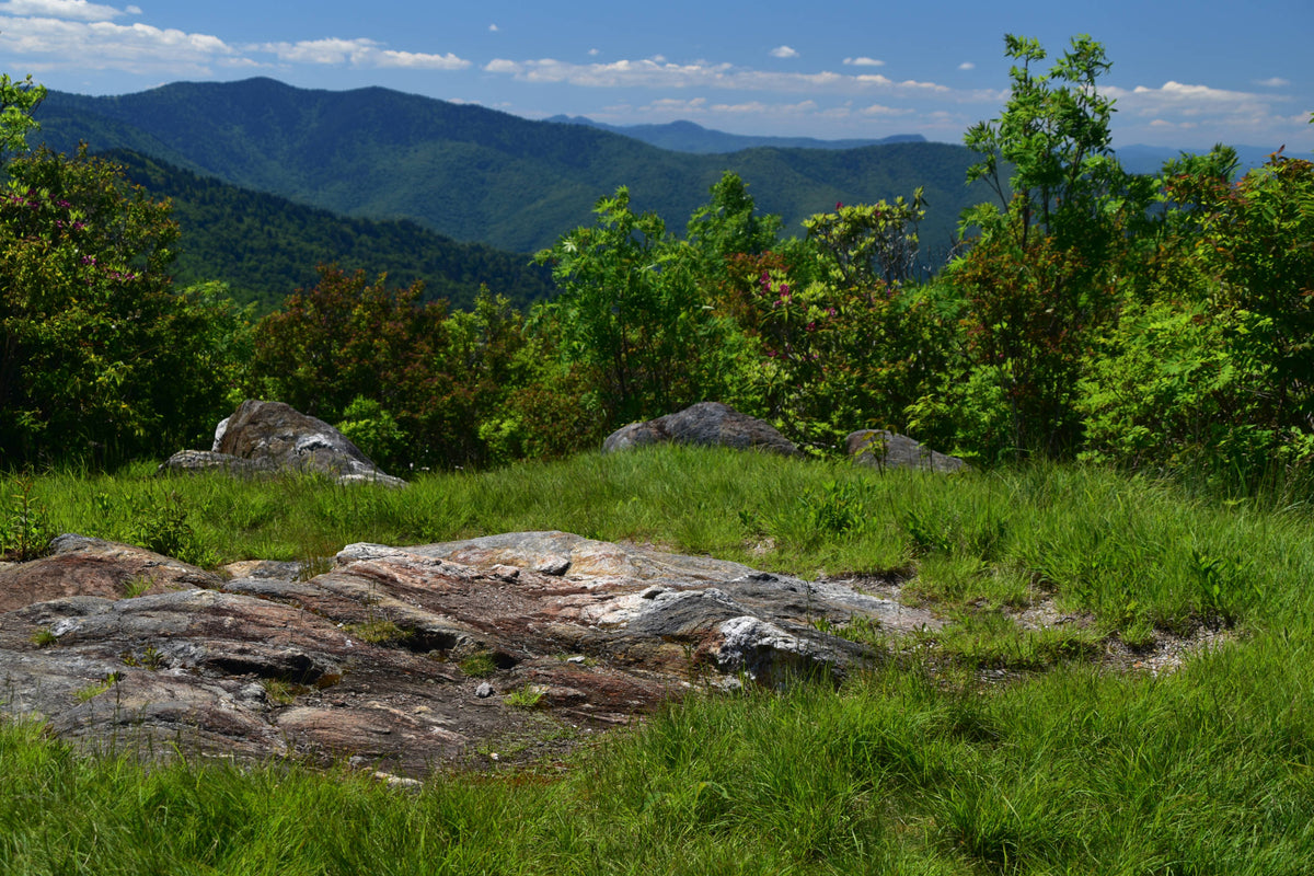 Richland Balsam viewed from Sam Knob, Pisgah National Forest