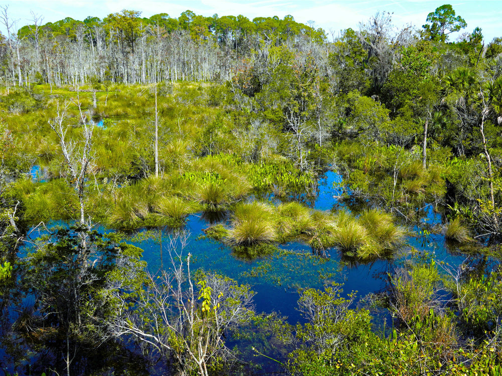 Estuary, Duval County, Florida