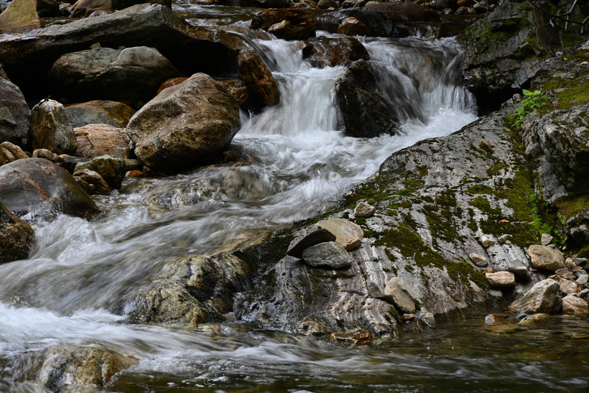 Greasy Cove at Bridges Camp Gap Trail
