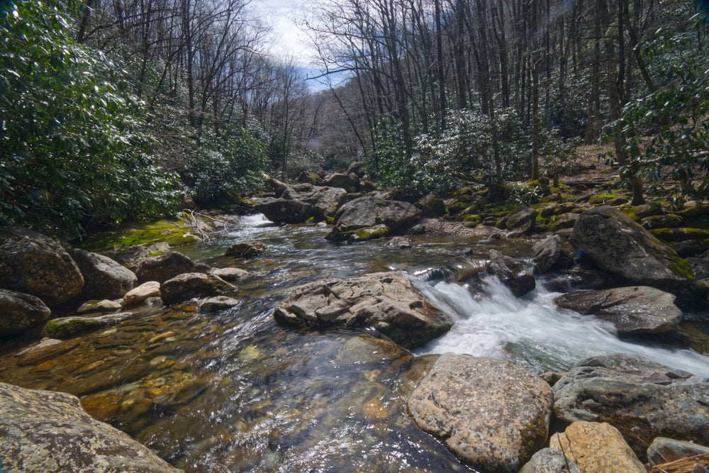 East Fork of the Pigeon River near Greasy Prong Confluence