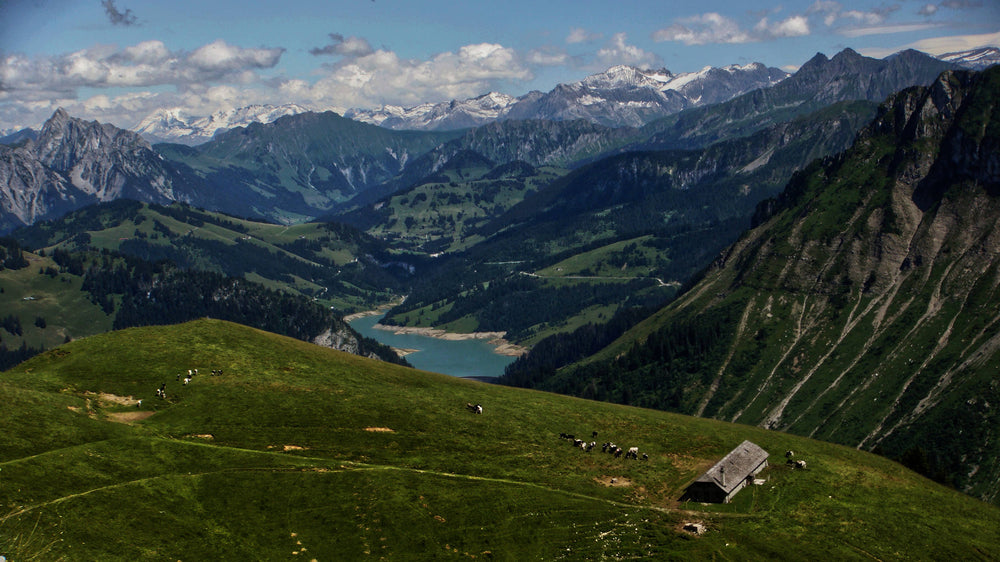 Montrose, Switzerland