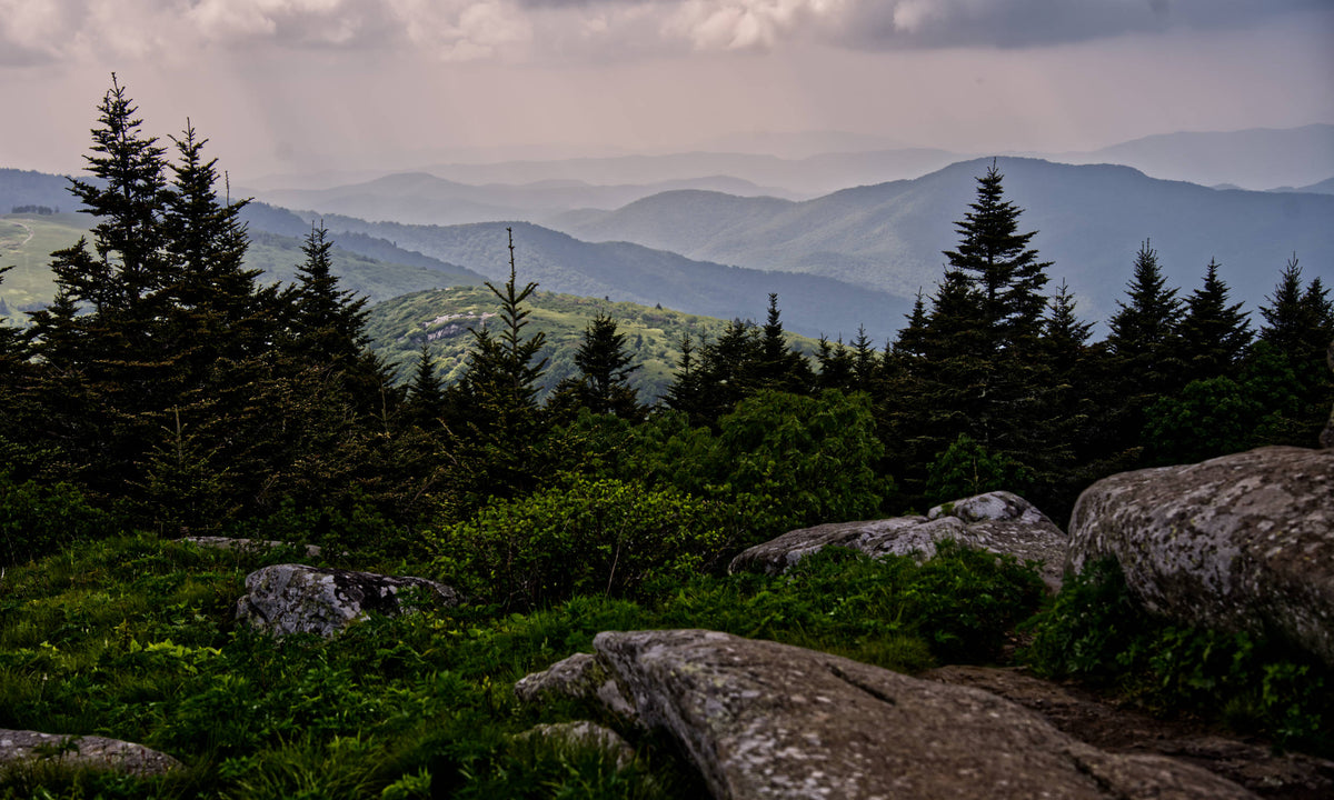 Grassy Ridge Bald on the Appalachian Trail near Roan Mountain