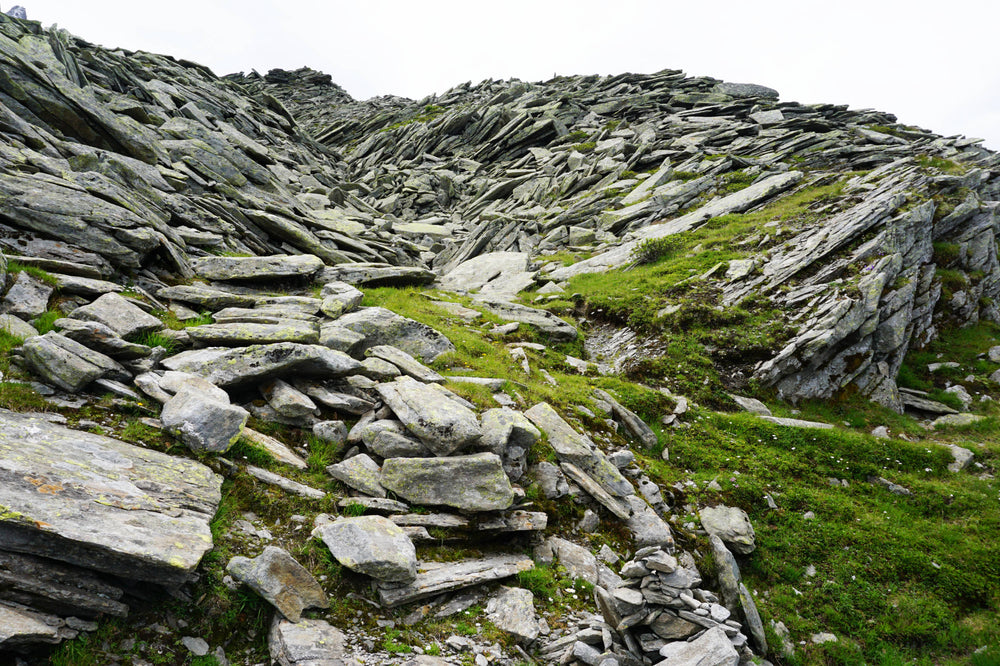 Glacier Scree