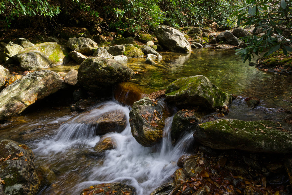 East Fork of the Pigeon River