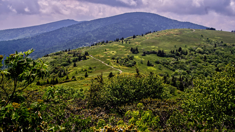 Roan High Knob from Appalachian Trail near Jane Bald