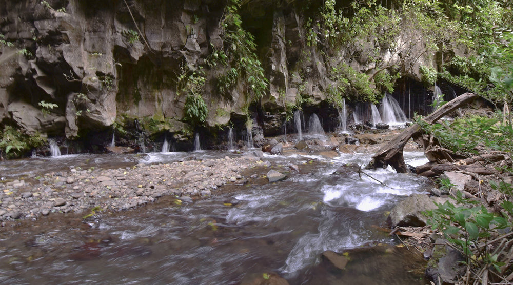Fifteen Falls at la Fortuna Waterfall Costa Rica