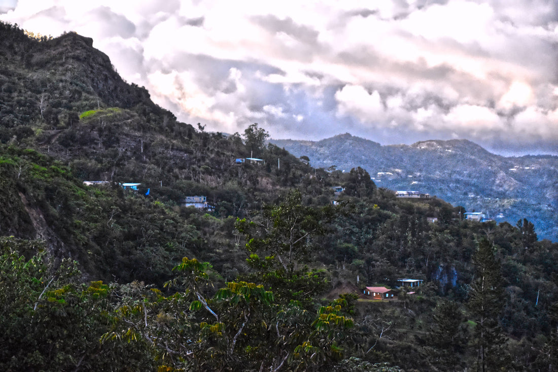 Puerto Rican Mountainside