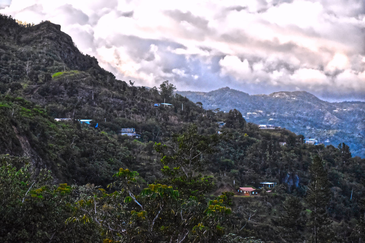 Puerto Rican Mountainside