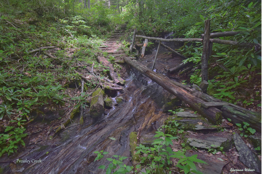 Bridge over  Pressley Creek