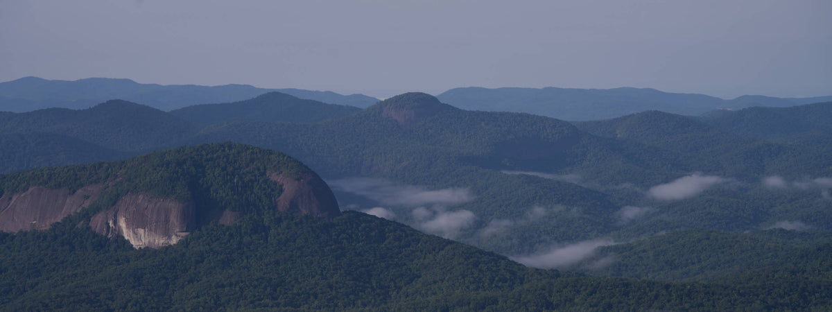 Looking Glass Rock and Cedar Rock Mountain, Pisgah Natl. For.